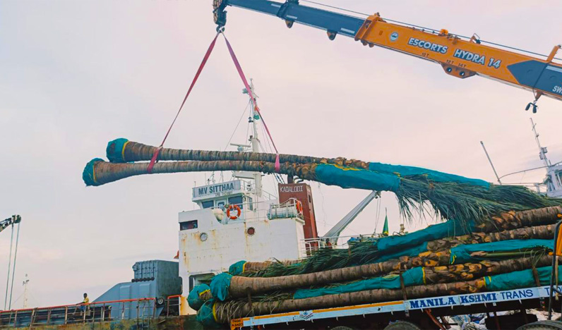 snow shipping crane service